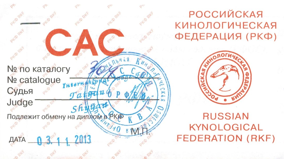 Документ-САС(б)